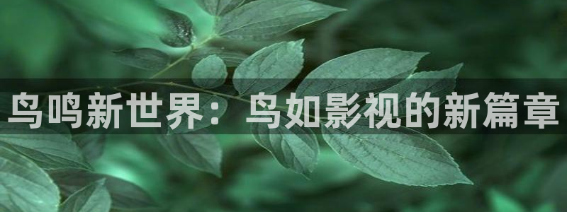 88影院在线观看