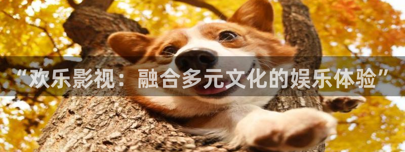 88影视天堂